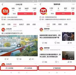 写小说头条小程序,揭秘写小说头条小程序的神奇魅力