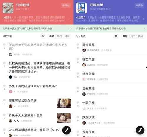 吃瓜聊天网址,网络热议背后的真相与趣味