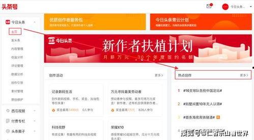 头条如何看当日热点,聚焦时事脉搏，洞察社会热点