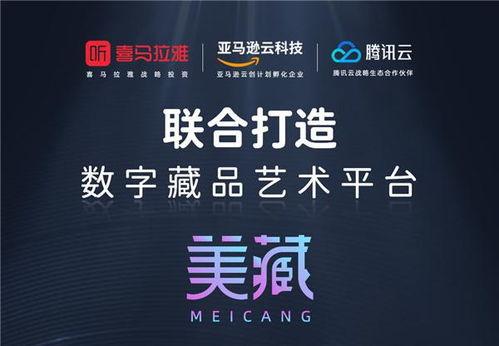 头条藏家数字藏品,头条藏家引领潮流