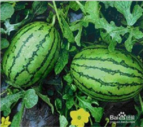 广东emolab吃瓜网,揭秘娱乐圈幕后故事，带你领略娱乐风云