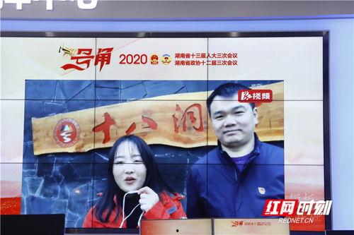 红网湖南直播,实时呈现湖南风采，带你领略湖湘文化魅力