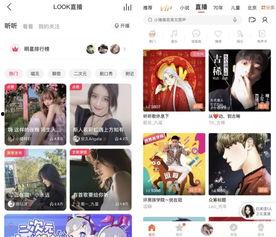 头条直播声音如何放大的,轻松提升直播音质体验