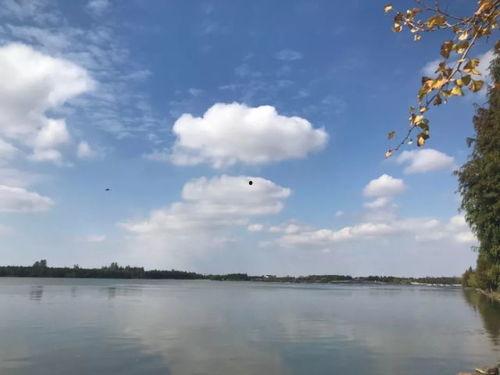 平静湖新闻头条,揭秘事件背后真相