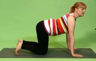 韩国瑜伽吃瓜,吃瓜群众眼中的健康与时尚融合