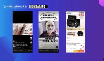 网红猫张帅财报,揭秘网红猫咪的财务奇迹