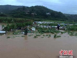 郧阳区南瓜塘镇新闻头条,乡村振兴新篇章，南瓜产业助力农民增收