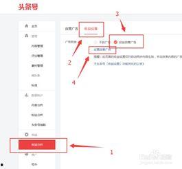 头条号名称设置在哪里,探索个性与创意的交汇点