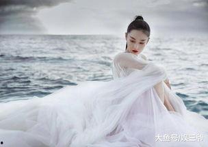 明星情感驿站何捷,明星情感驿站中的情感解码与心灵疗愈之旅