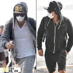 熊能明星,揭秘动物界的璀璨明星