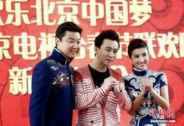 影视明星参加春晚,影视明星闪耀春晚舞台