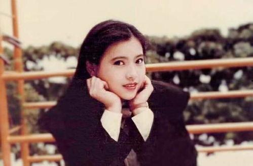 明星蓝洁瑛事件