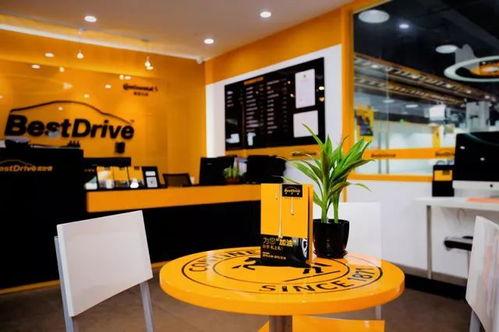 菠萝网红孵化器,打造明日之星的摇篮