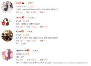 明星摄影师 收入,揭秘明星摄影师的高收入秘诀