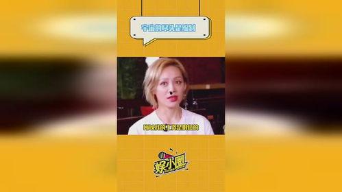 娱乐吃瓜酱五险一金,吃瓜酱带你了解明星的五险一金福利